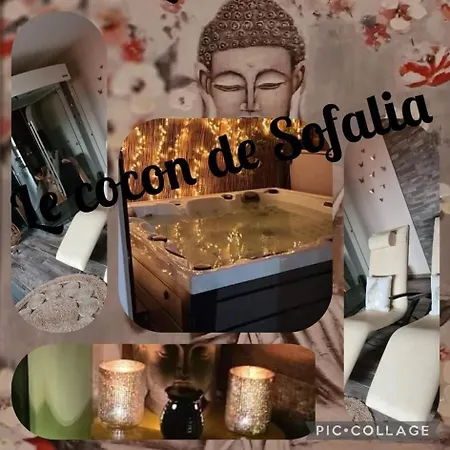Le Cocon De Sofalia Bed & Breakfast Courcelles