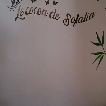 住宿加早餐酒店 Le Cocon De Sofalia 3*