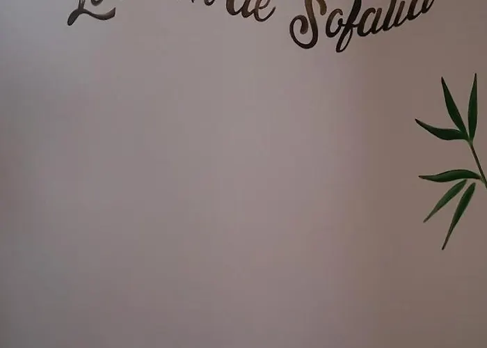 ベッド・アンド・ブレックファスト Le Cocon De Sofalia 3*