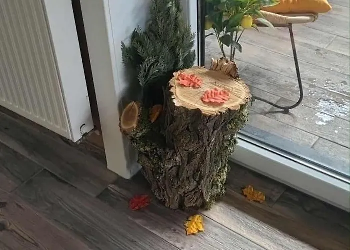 Alojamento de Acomodação e Pequeno-almoço Le Cocon De Sofalia